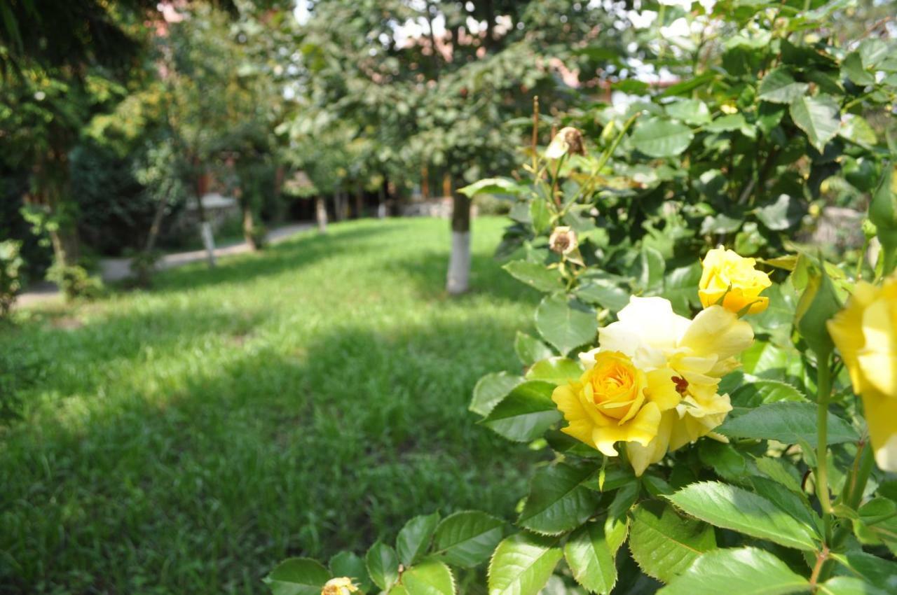 Casa Diu Daire Avrig Dış mekan fotoğraf